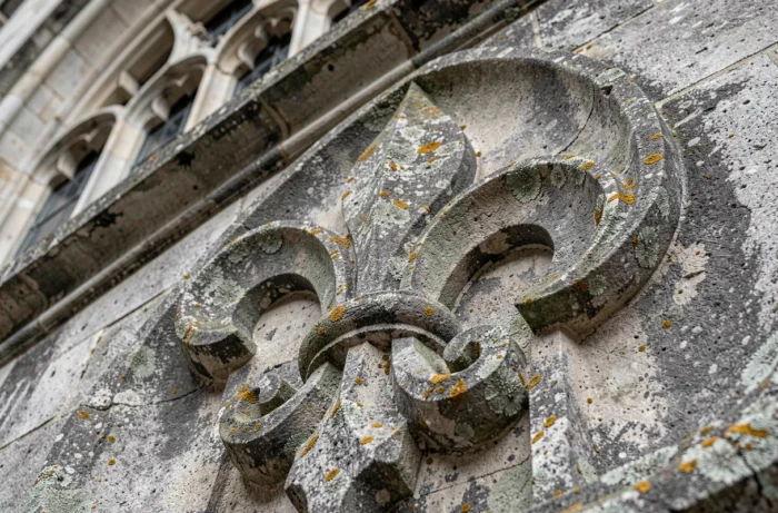 Relief sculpté en pierre d'une fleur de lys royale sur la façade d'une cathédrale gothique médiévale